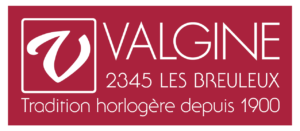 VALGINE-300x131